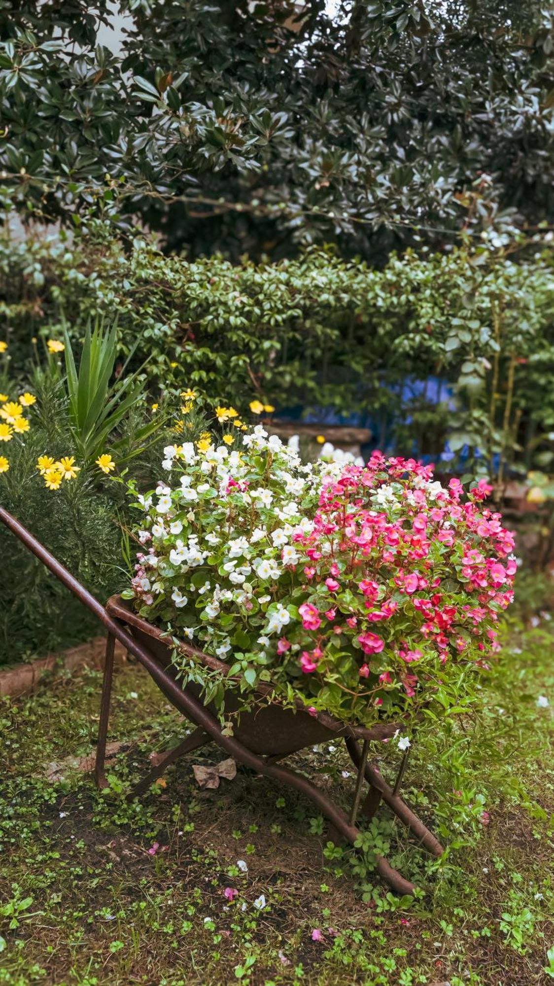 La Serra Sognante, Un Rifugio Incantevole Tra Natura E Relax Florencja Zewnętrze zdjęcie