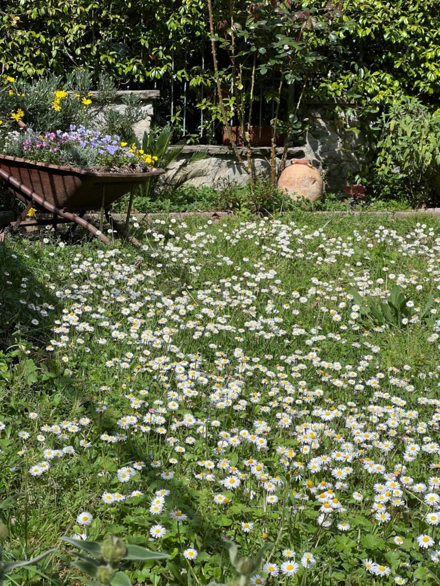 La Serra Sognante, Un Rifugio Incantevole Tra Natura E Relax Florencja Zewnętrze zdjęcie